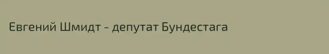  Евгений Шмидт - депутат Бундестага
